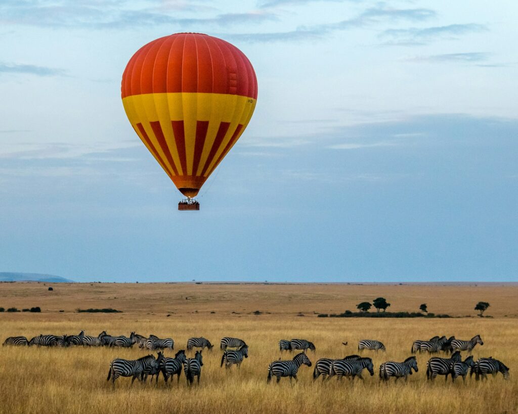 Top 5 Safari Destinations to Explore in Kenya